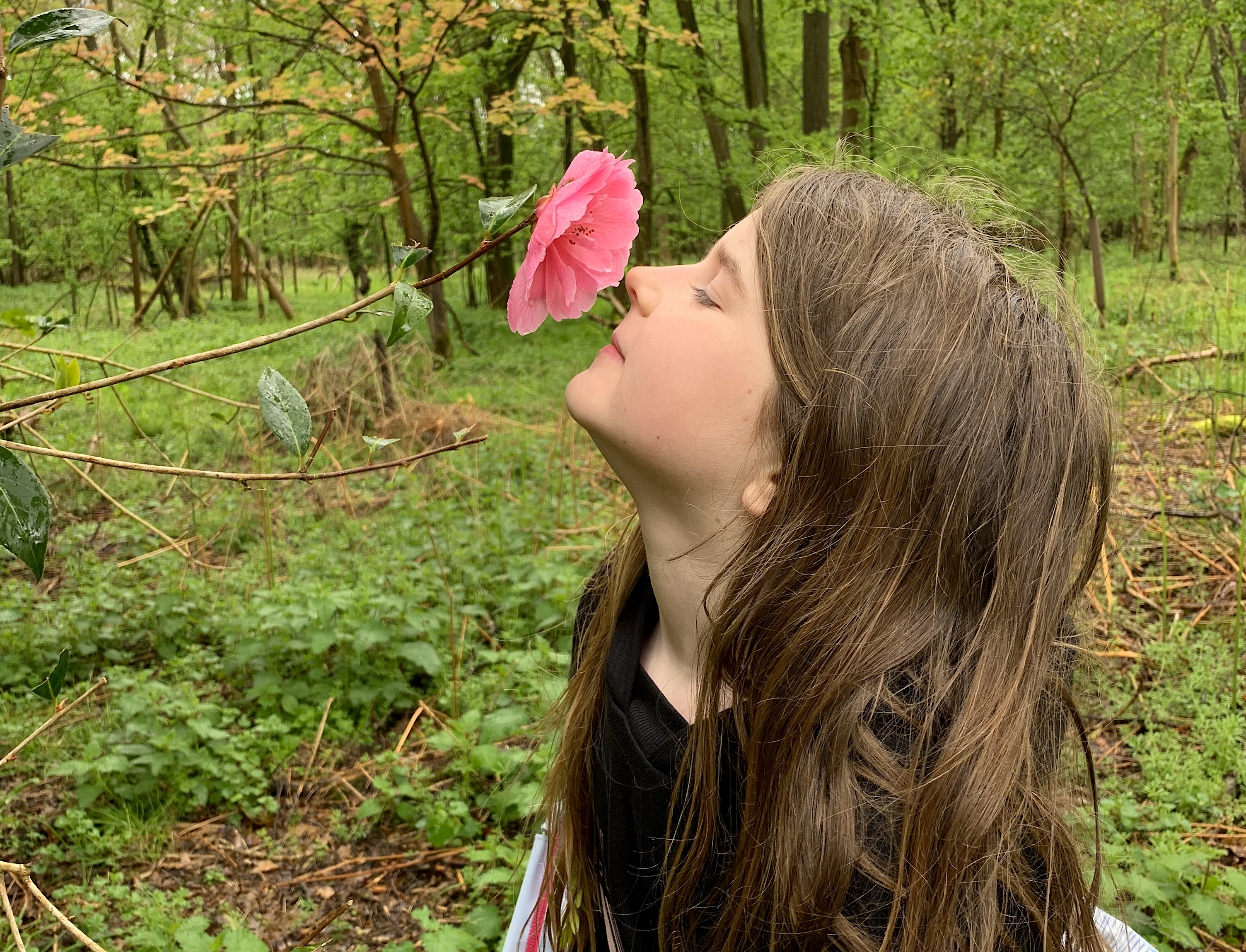 Forest School outdoor learning session